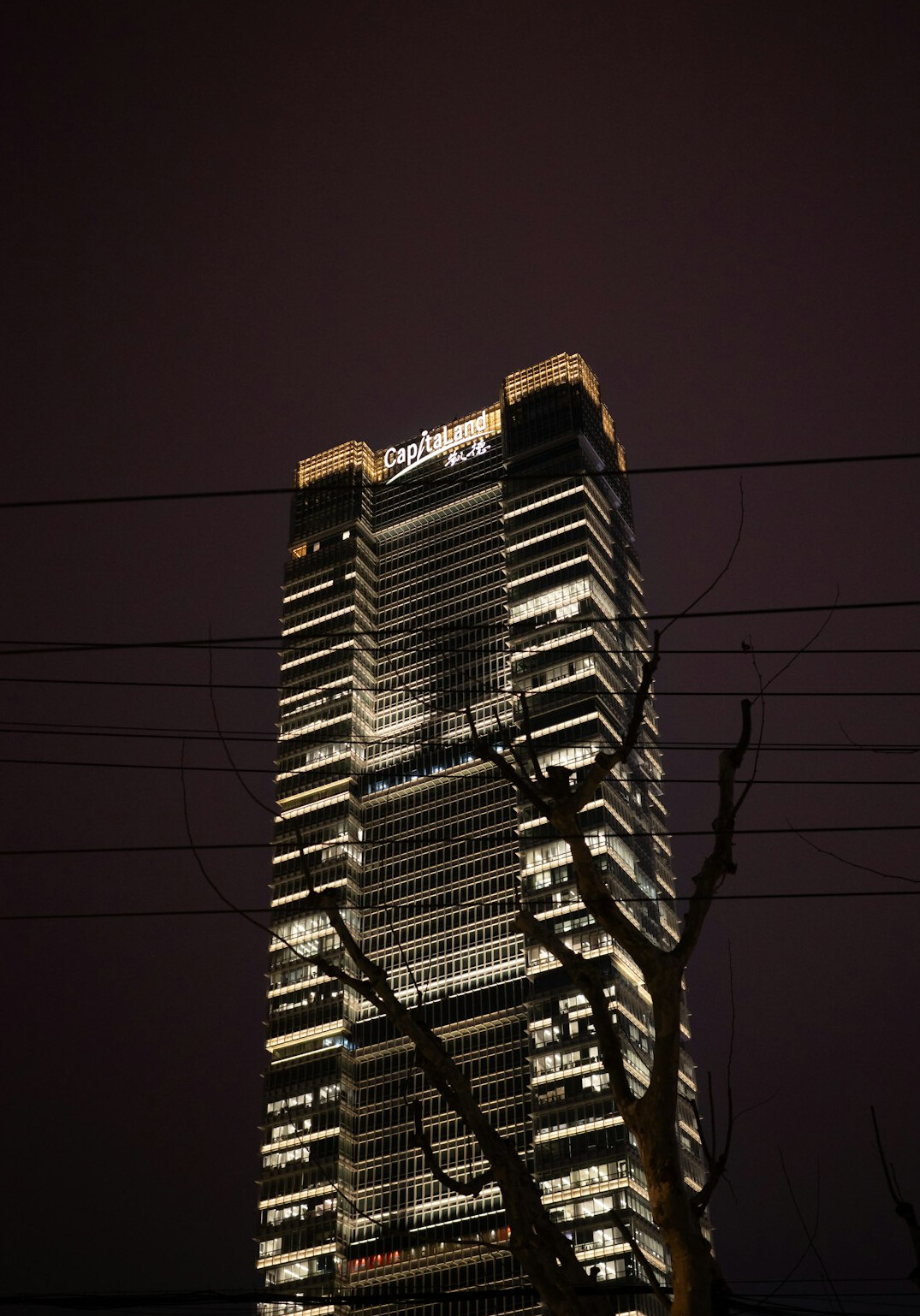 corporate building at night